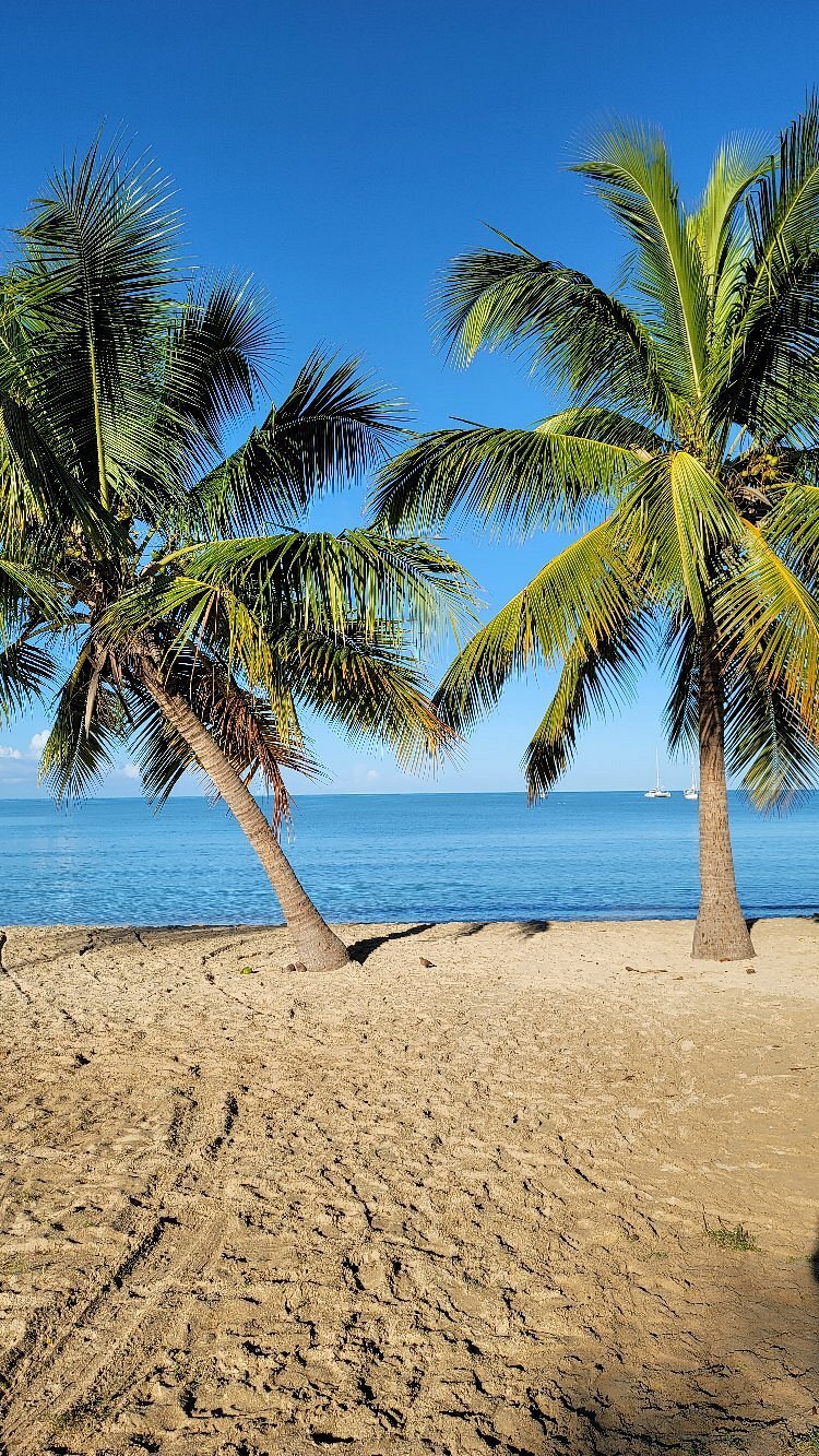 Boqueron Beach Cabo Rojo Puerto Rico Palm Trees