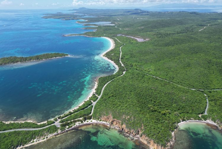 Can You Visit Vieques Island On A Cruise Stop