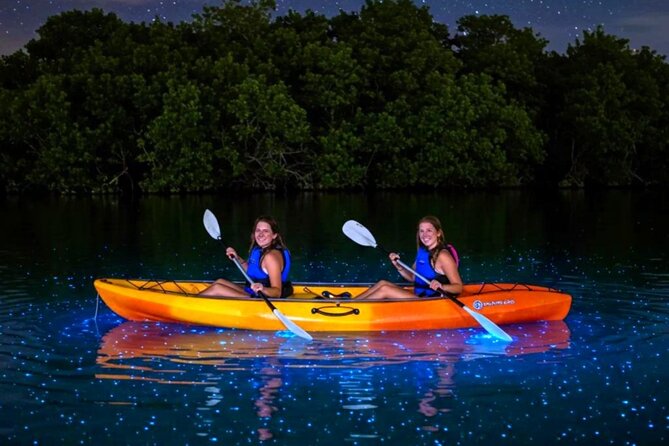 Vieques Island Bioluminescent Bay Tours Puerto Rico